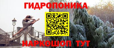 гидропоника Аша