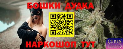 гидропоника Аша