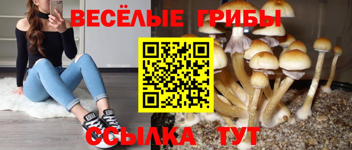 Коркино  Псилоцибиновые грибы Magic Shrooms  Псилоцибиновые грибы прущие грибы  Вход с VPN 